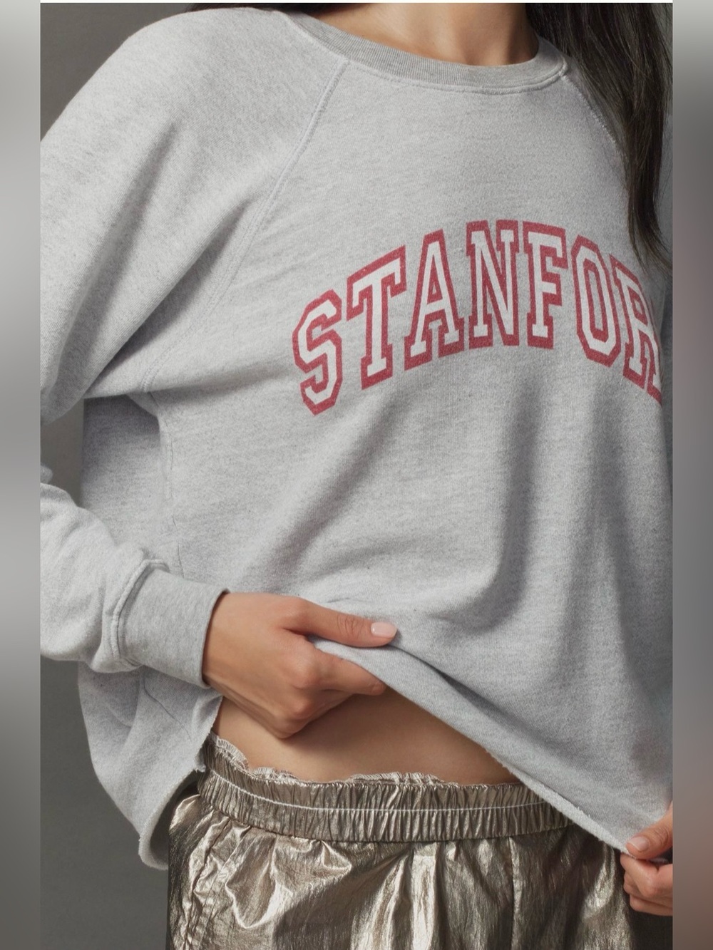Anthropologie Original Retro Brand Stanford Grey Pullover Sweatshirt